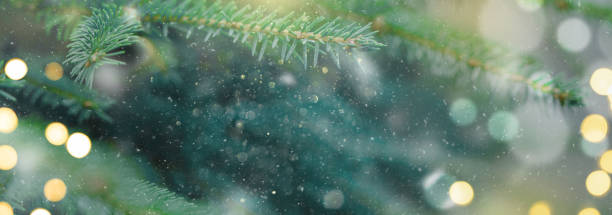 istock Closeup of Christmas tree background 1439949260
