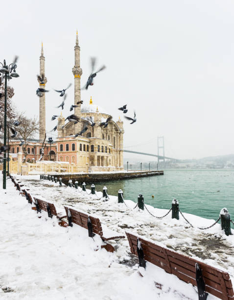 istock Snowy day in Istanbul. 1439950172