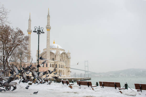 istock Snowy day in Istanbul. 1439950177