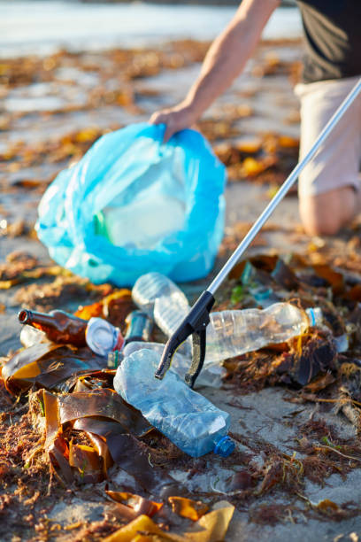 Male environmentalist picking up bottle with tool on shore. Activist is cleaning beach. Waste is amidst seaweed.
