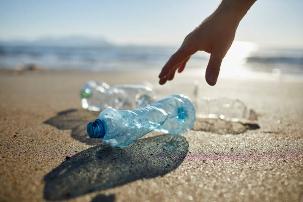 istock Hand of activist picking up empty plastic bottles 1439954167