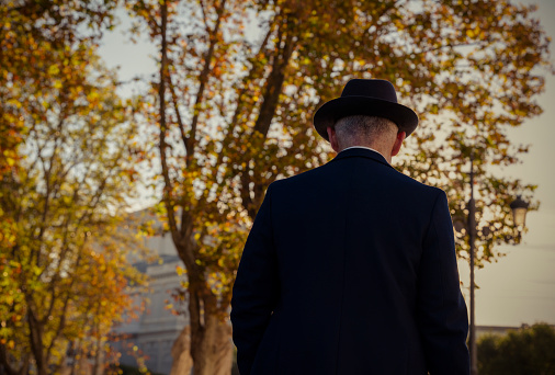 Rear view of adult man in suit and hat on street with autumn trees. Madrid, Spain
