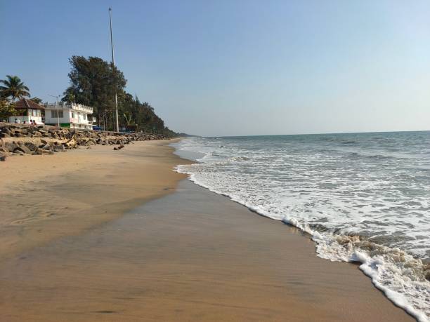 istock The Arabian sea wave touching the beach 1439957714