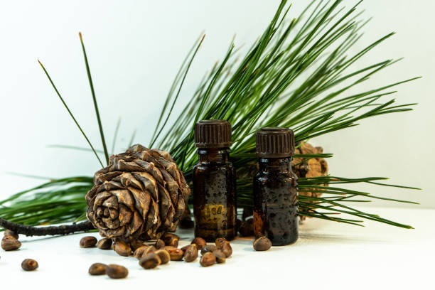istock Cedar and spruce essential oil in small glass bottles on a white background. 1439958837