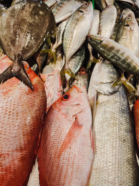 istock Fish are sold at traditional market traders 1439959943