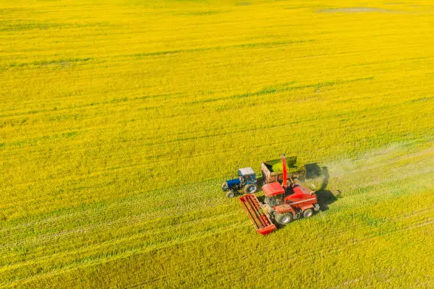 Aerial View Of Rural Landscape. Combine Harvester And Tractor Working Together In Field. Harvesting Of Oilseed In Spring Season. Agricultural Machines Collecting Blooming Rapeseeds Canola Colza. Elevated View.