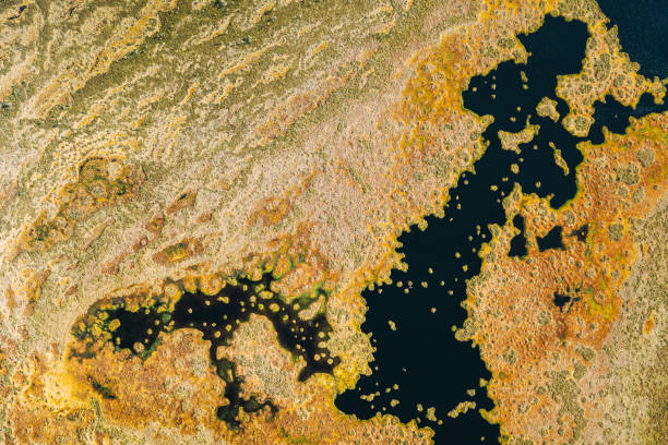 istock Miory District, Vitebsk Region, Belarus. The Yelnya Swamp. Upland And Transitional Bogs With Numerous Lakes. Elevated Aerial View Of Yelnya Nature Reserve Landscape. Famous Natural Landmark 1439963438