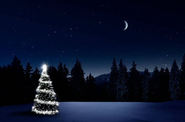 istock Shining Christmas tree in a snowy winter forest 1439967611