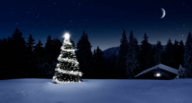 istock Shining Christmas tree in a snowy winter forest 1439967649