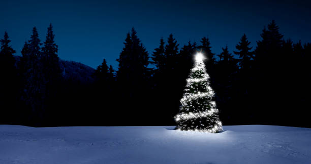 istock Shining Christmas tree in a snowy winter forest 1439967652