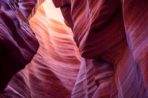 Red sandstone texture of the lower antelope canyon . Red sandstone texture of the lower antelope canyon with perfect light from above. lower antelope canyon stock pictures, royalty-free photos & images