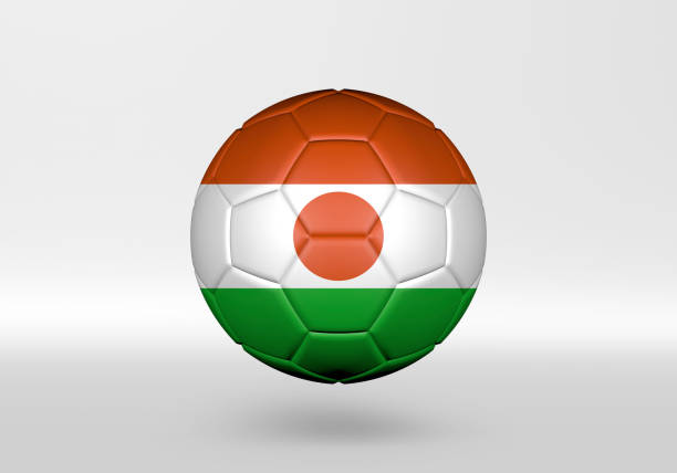 3D soccer ball with the flag of Niger on grey background 3D soccer ball with the flag of Niger on grey background niger state stock pictures, royalty-free photos & images