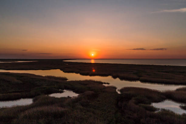 istock Waterside in sunset landscape photo 1439983865