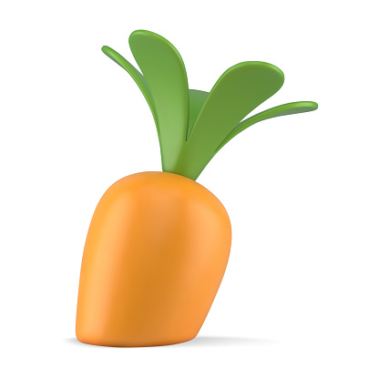 Orange carrot with green leaves growing root Easter traditional vegetable 3d icon realistic vector illustration. Glossy rabbit food market crop harvest natural edible plant vegetarian raw food toy
