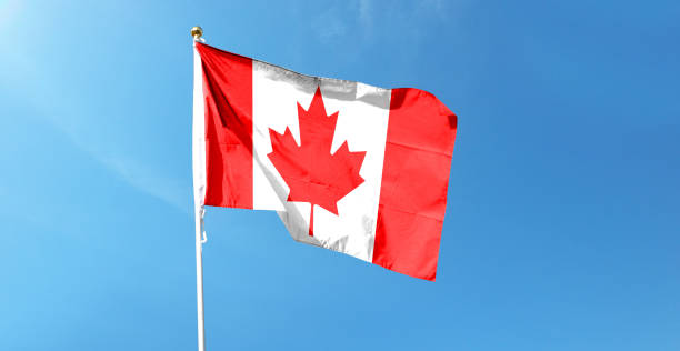 istock Canadian flag on cloudy sky. waving in the sky 1439987171