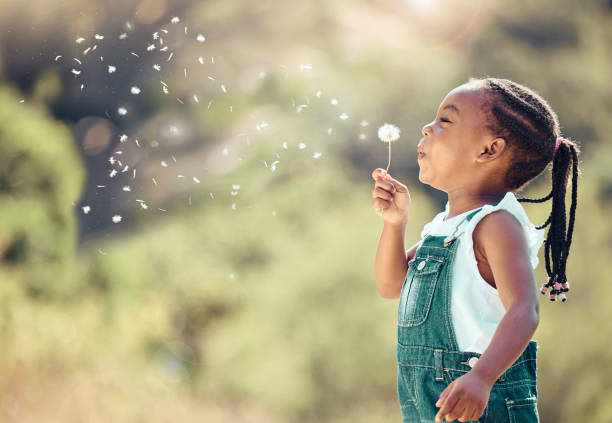 heureuse petite fille afro-américaine soufflant une fleur à l’extérieur. enfant joyeux s’amusant à jouer et à souffler un pissenlit en l’air dans un parc. enfant s’amusant avec joie en jouant avec une plante à l’extérieur - happy child photos et images de collection