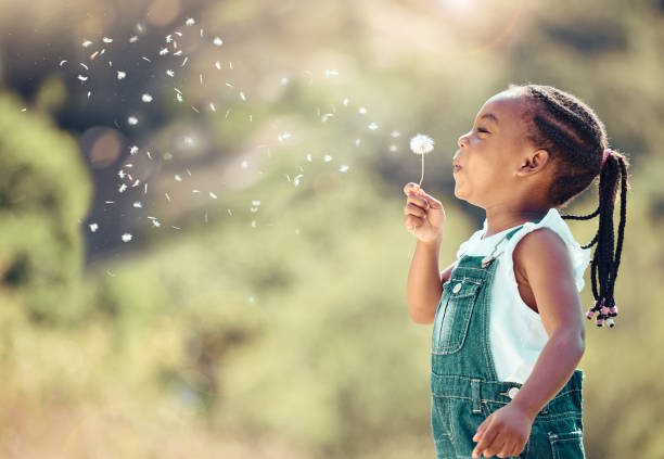 행복 한 작은 아프리카 계 미국인 소녀 밖에서 꽃을 불고 있습니다. 쾌활한 아이는 놀고 공원에서 민들레를 공중으로 날려 버립니다. 야외에서 식물과 함께 노는 기쁨으로 즐거운 시간을 보내는 - play 뉴스 사진 이미지