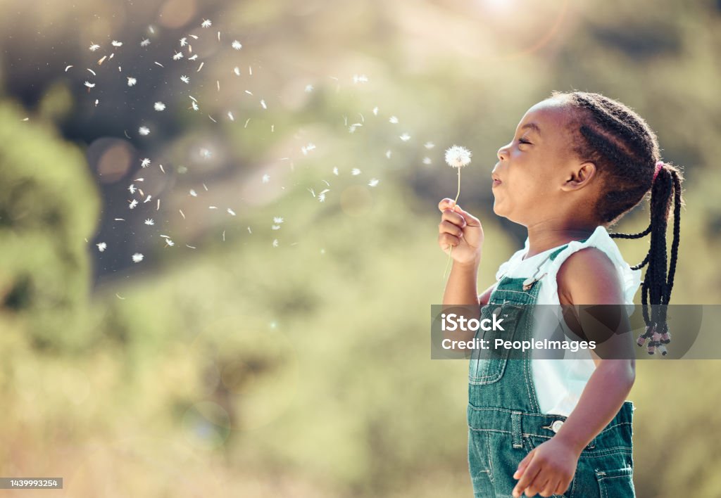 Happy little african american girl blowing a flower in outside. Cheerful child having fun playing and blowing a dandelion into the air in a park. Kid having fun with joy playing with a plant outdoors Child Stock Photo