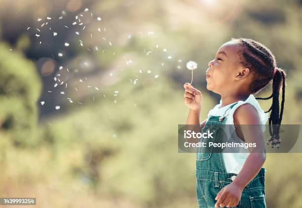 Happy Little African American Girl Blowing A Flower In Outside Cheerful Child Having Fun Playing And Blowing A Dandelion Into The Air In A Park Kid Having Fun With Joy Playing With A Plant Outdoors Stock Photo - Download Image Now