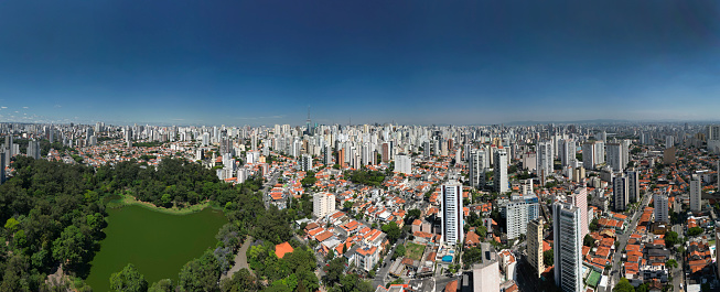 Aview of the city of São Paulo with the Aclimação park in the foreground