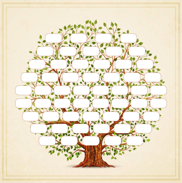 ilustraciones, imágenes clip art, dibujos animados e iconos de stock de plantilla de árbol genealógico. genealogía, pedigrí. estilo vintage para diseño retro. ilustración vectorial - árboles genealógicos