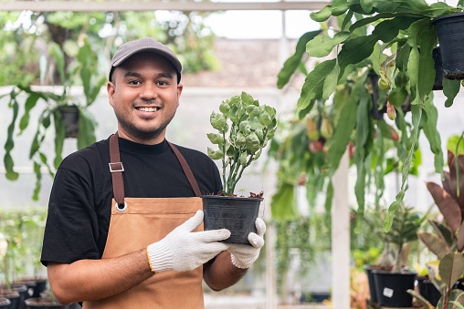 Portrait of happy handsome asian man gardener wearing hat, gloves, and brown apron, He holding potted plants and smiling to camera because his cultivation was successful in the green house.