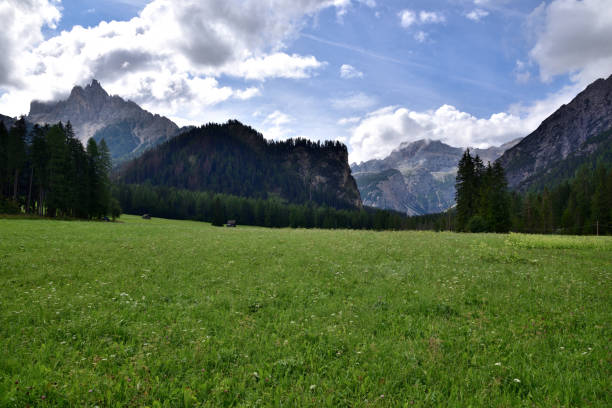 istock Grassy expanses of the valley. 1439998577
