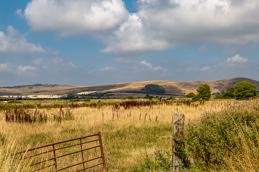 A rural Sussex view on a summer's day