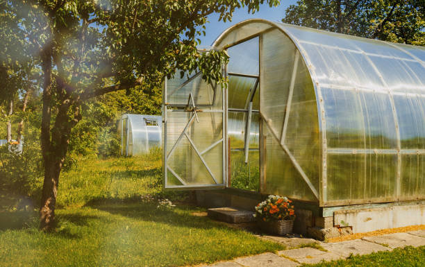 istock Greenhouse with vegetables in the garden. 1440001105