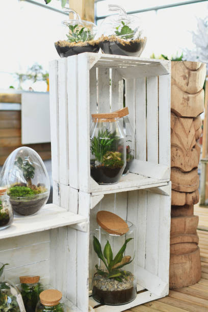 istock Green indoor plants in glass jars Self ecosystem. 1440001979