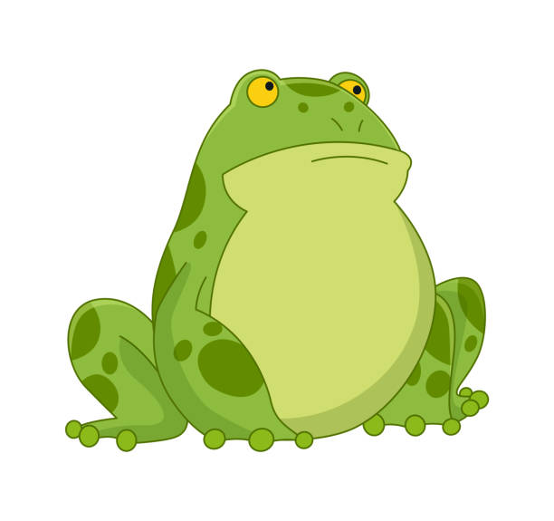 Ranas de dibujos animados Rana de dibujos animados divertida. Pequeño personaje anfibio sentado sobre fondo blanco. Adorable observación de ranas - Ilustración de stock Ranas de dibujos animados Rana de dibujos animados divertida. Pequeño personaje anfibio sentado sobre fondo blanco. Adorable observación de ranas - Ilustración de stock