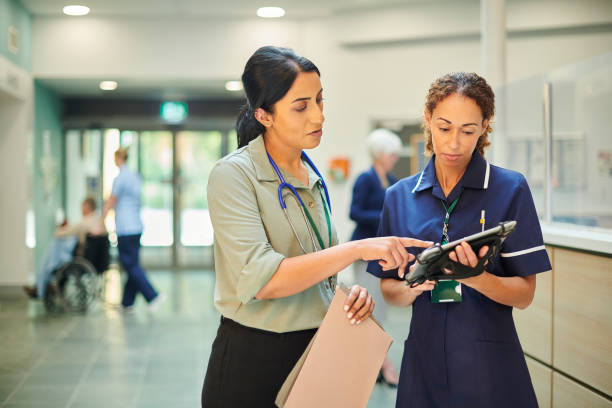 hospital colleagues checking medical records database stock photo