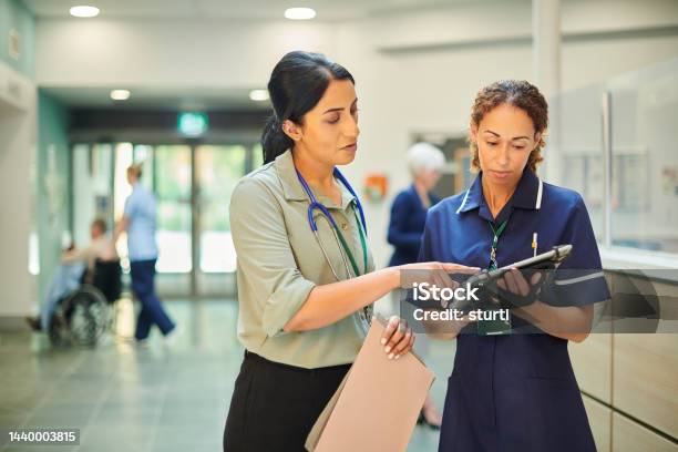Hospital Colleagues Checking Medical Records Database Stock Photo - Download Image Now