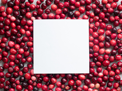 white empty paper on group of ripe red cranberries