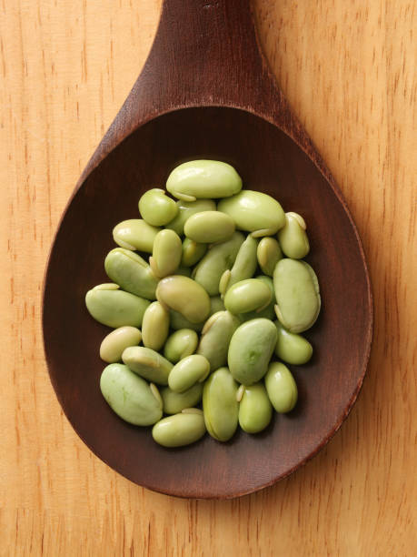 nasączoną czarny soi - soybean bean drenched textured zdjęcia i obrazy z banku zdjęć