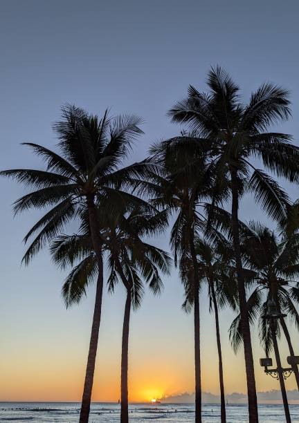 sunset waikiki beach, oahu, hawaï - van vleuten stok fotoğraflar ve resimler