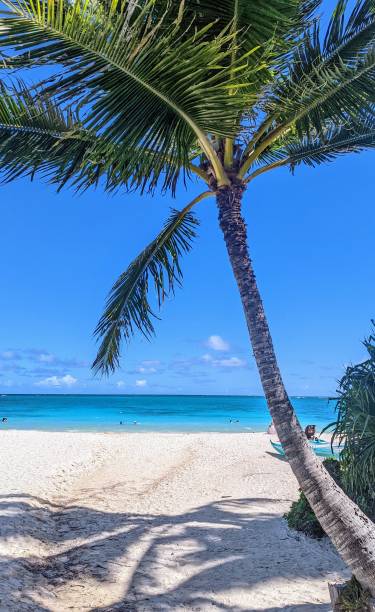 солнечный день на пляже ланикай, оаху, гавайи - van vleuten стоковые фото и изображения