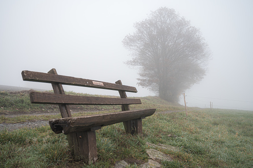 The weather in autumns is always foggy. The benches don`t create a beautiful view