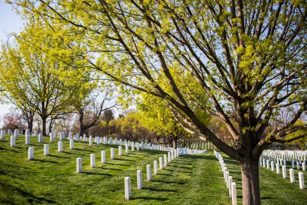 istock Arlington Cemetery surrounded by trees and greenery under a blue sky in the US 1440010789