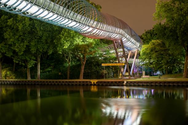 istock Bridge over a lake and between trees in a park at night 1440011194