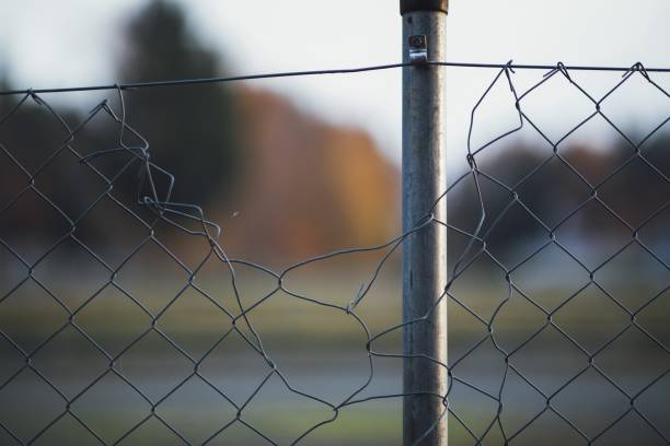 Closeup look of wire fences in a garden surrounded by trees with a blurry background A closeup look of wire fences in a garden surrounded by trees with a blurry background wood and wire fence designs pictures stock pictures, royalty-free photos & images