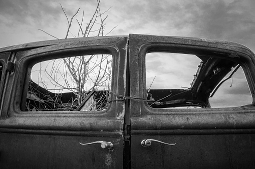 A greyscale shot of dry tree branches in a vintage car under the gloomy sky