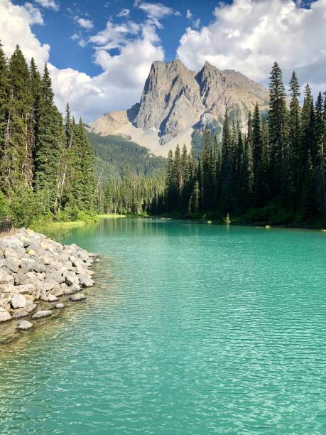 magnifique paysage du lac emerald dans le parc national yoho, colombie-britannique, canada - british columbia canada lake emerald lake photos et images de collection