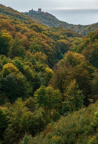 A vertical shot of the autumn in the mountain Medvednica with the castle Medvedgrad