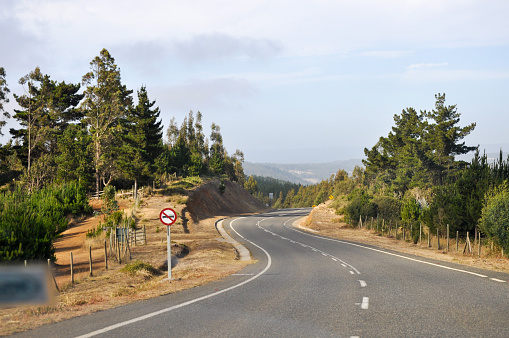 The road in the forest in Pichilemu, Chile, Southamerica