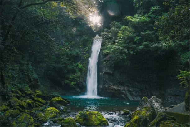 istock Beautiful view of a waterfall surrounded by plants and moss covered stone 1440012916