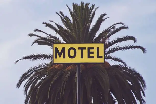 Photo of Closeup shot of a motel signage in front of a palm tree during daytime