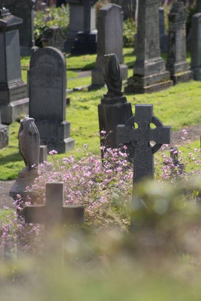 istock Vertical shallow focus of stone graves surrounded by flower plants in a graveyard 1440013516