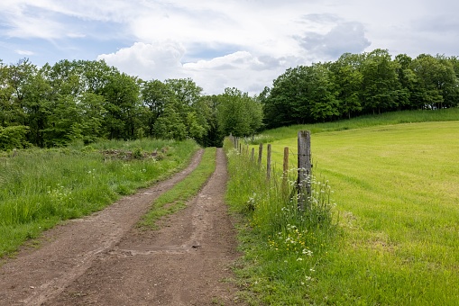 A scenic view of a road in a rural area surrounded by green meadows and vegetation