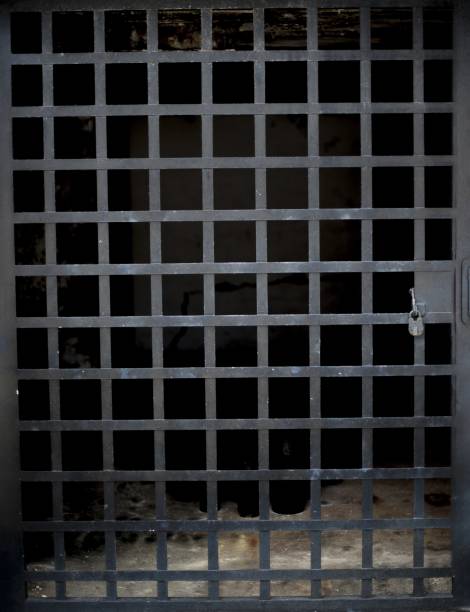 istock Vertical shot of an empty cage door with a metal lock 1440015207